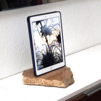 RockDock119-iPad-air2-smart-cover
